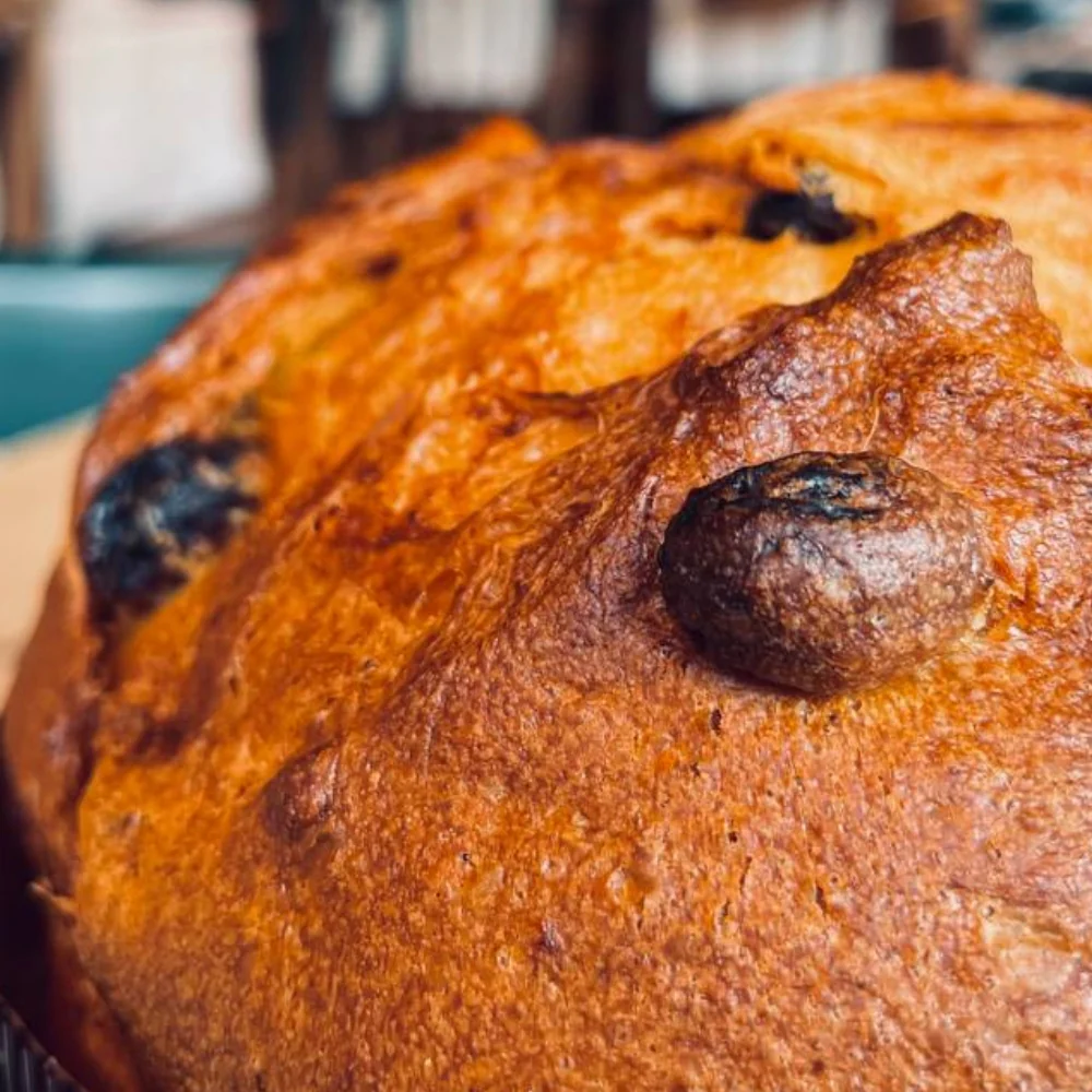 Panettone Artigianale Pucci - Image 3